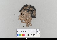 藏品(中國湖北皮影戲偶頭-末)的圖片